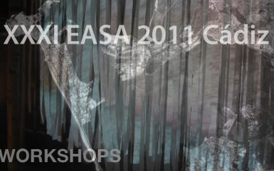 MedioMundo participates in EASA 2011. Cadiz.