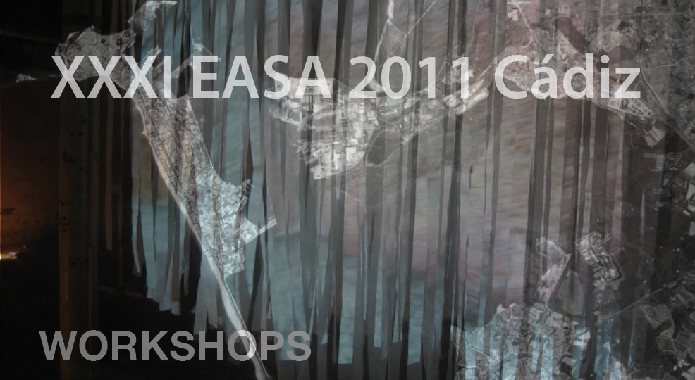 MedioMundo participates in EASA 2011. Cadiz.
